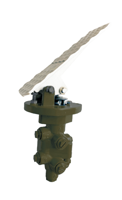 1768962186.png jhbv.png